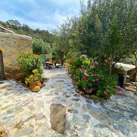 Natura Cottages Makriyialós Ngoại thất bức ảnh
