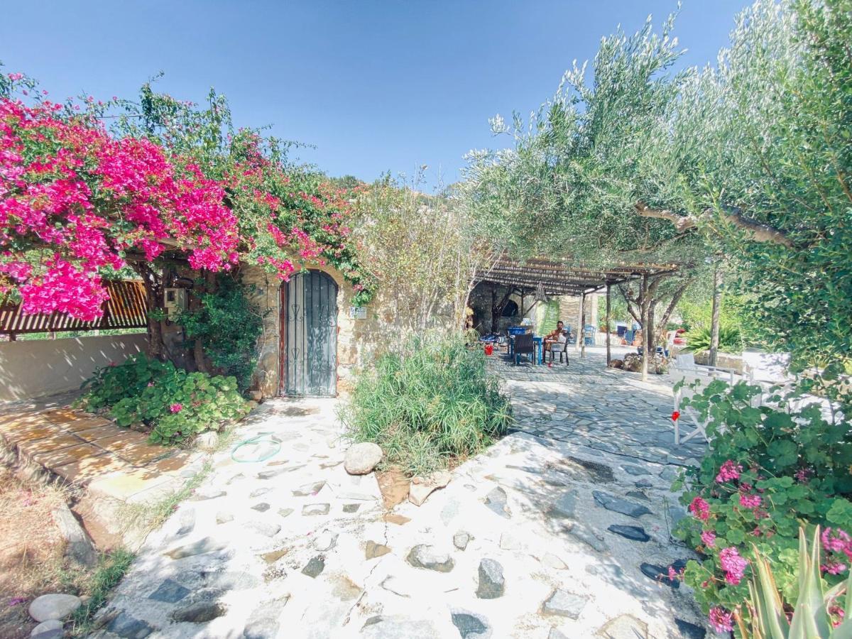 Natura Cottages Makriyialós Ngoại thất bức ảnh